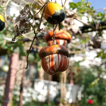 Appartement Sea Breeze